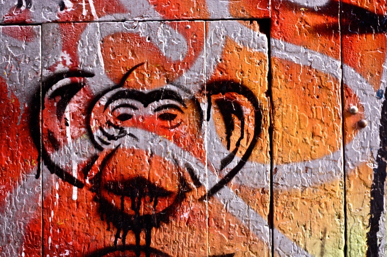 Monkey Graffiti Photography - Street Art Barcelona - 8 x 10 Print