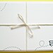 Paper Airplane Hand-drawn Note Cards (set of 5)