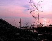 Coastal Photo - Pink Sky - Connecticut Beach - Long Island Sound - Nature Romantic Landscape Winter Photograph - 8x10 Color
