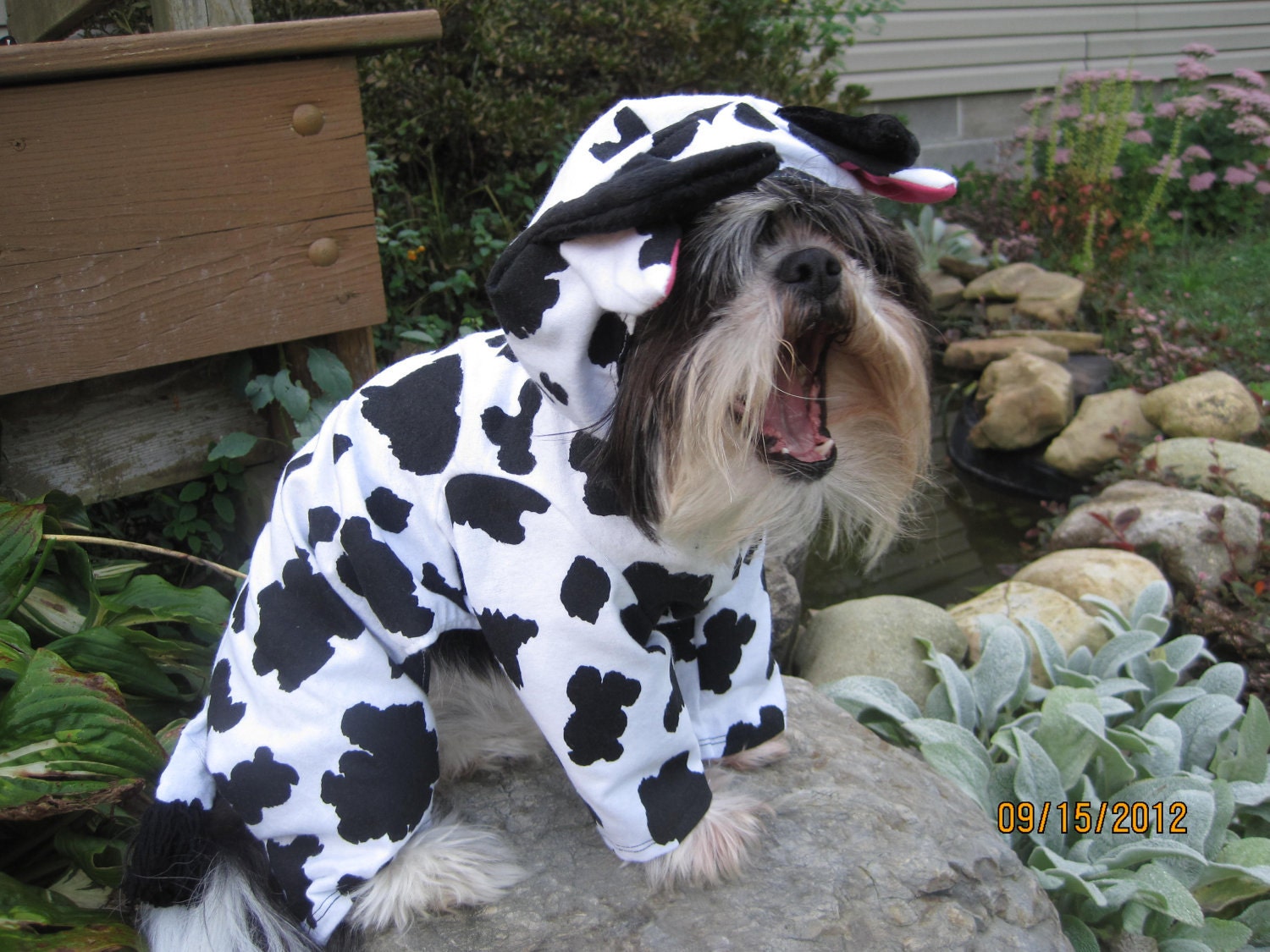 Cow Halloween Pet/Dog Costume size Medium
