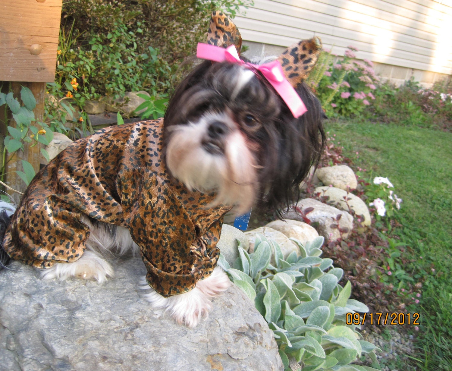 Leopard/Cheetah Cat Dog Halloween Costume size Medium