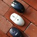 Mouse Belt Buckle