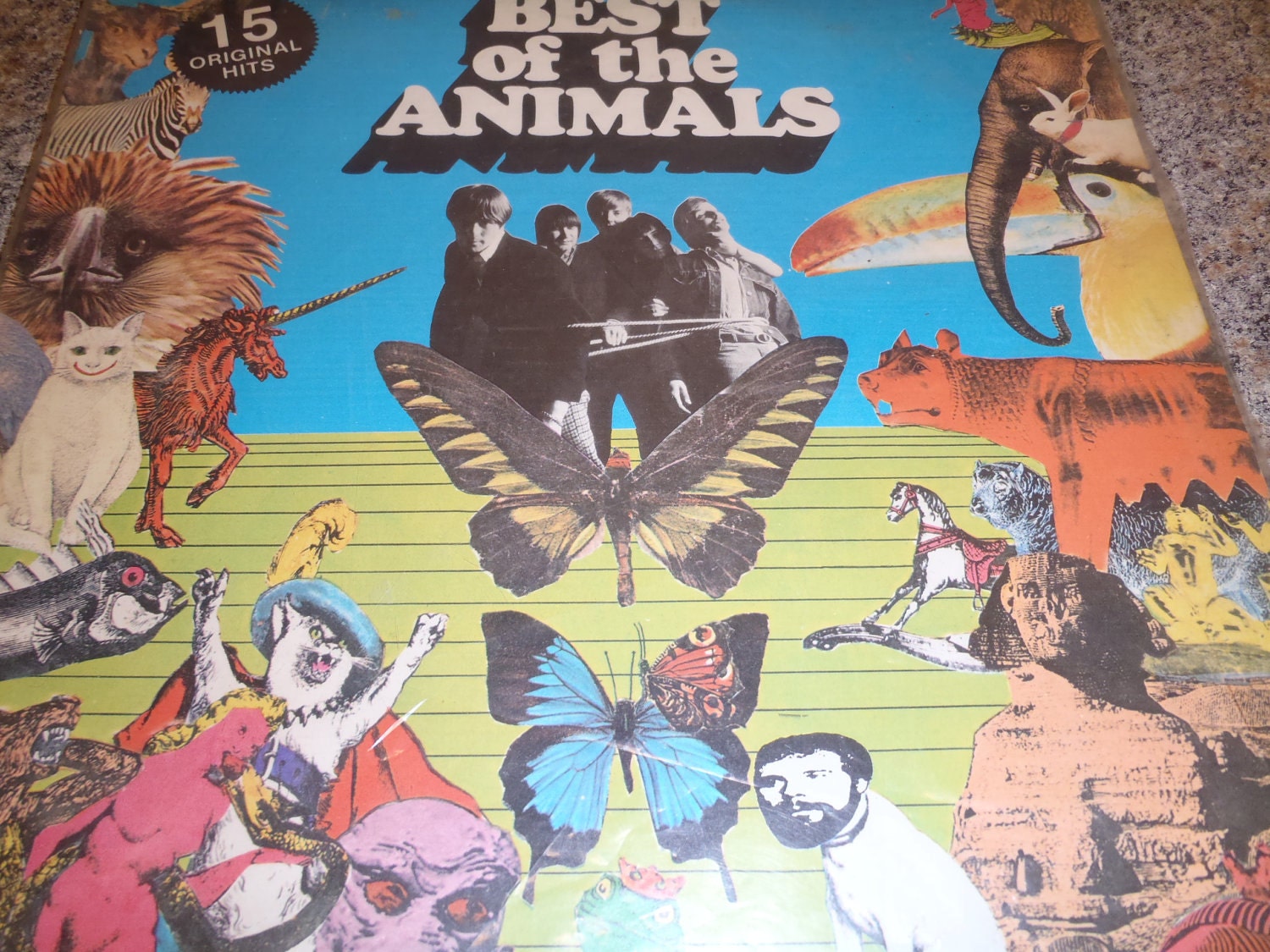 animals best of