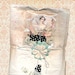 Mystery Scrap Pack of paper crafting inspiration - Fairy Belle Collection products by Jodie Lee for Prima