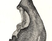 Pen & Ink Fine Art By Doug Ashby. Original Drawing Of A Pear With A Bite Taken Out