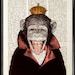 Monkey Art Print, Poster - Monkey King - ILLUSTRATION, GEEK Wall Art Wall Decor illustration Retro art dictionary print book page art print