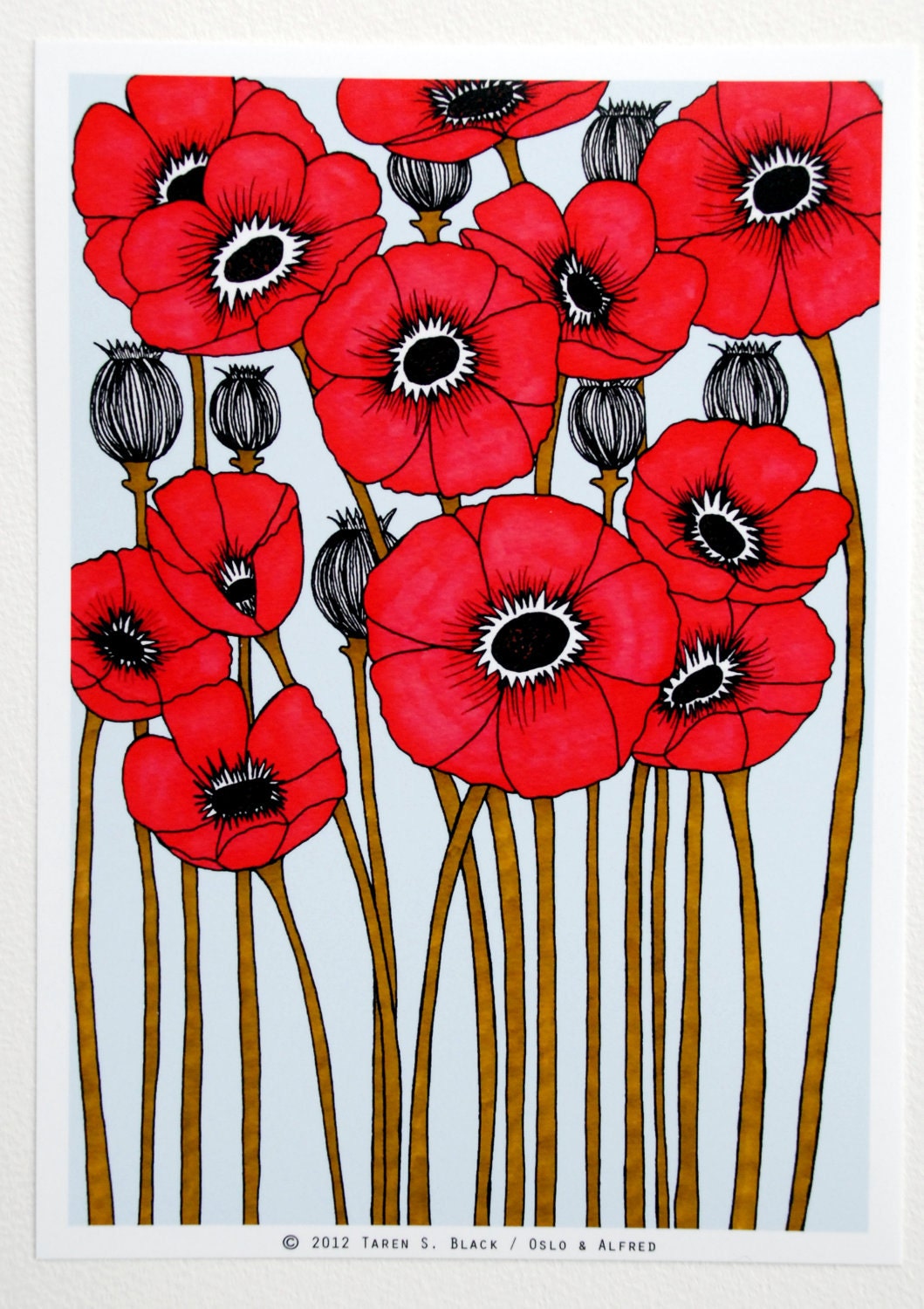 The Red Poppies - Illustration by: Taren S. Black