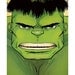 Avengers HULK Comic Book Superhero Pop Art Print 11x17 by Rob Osborne