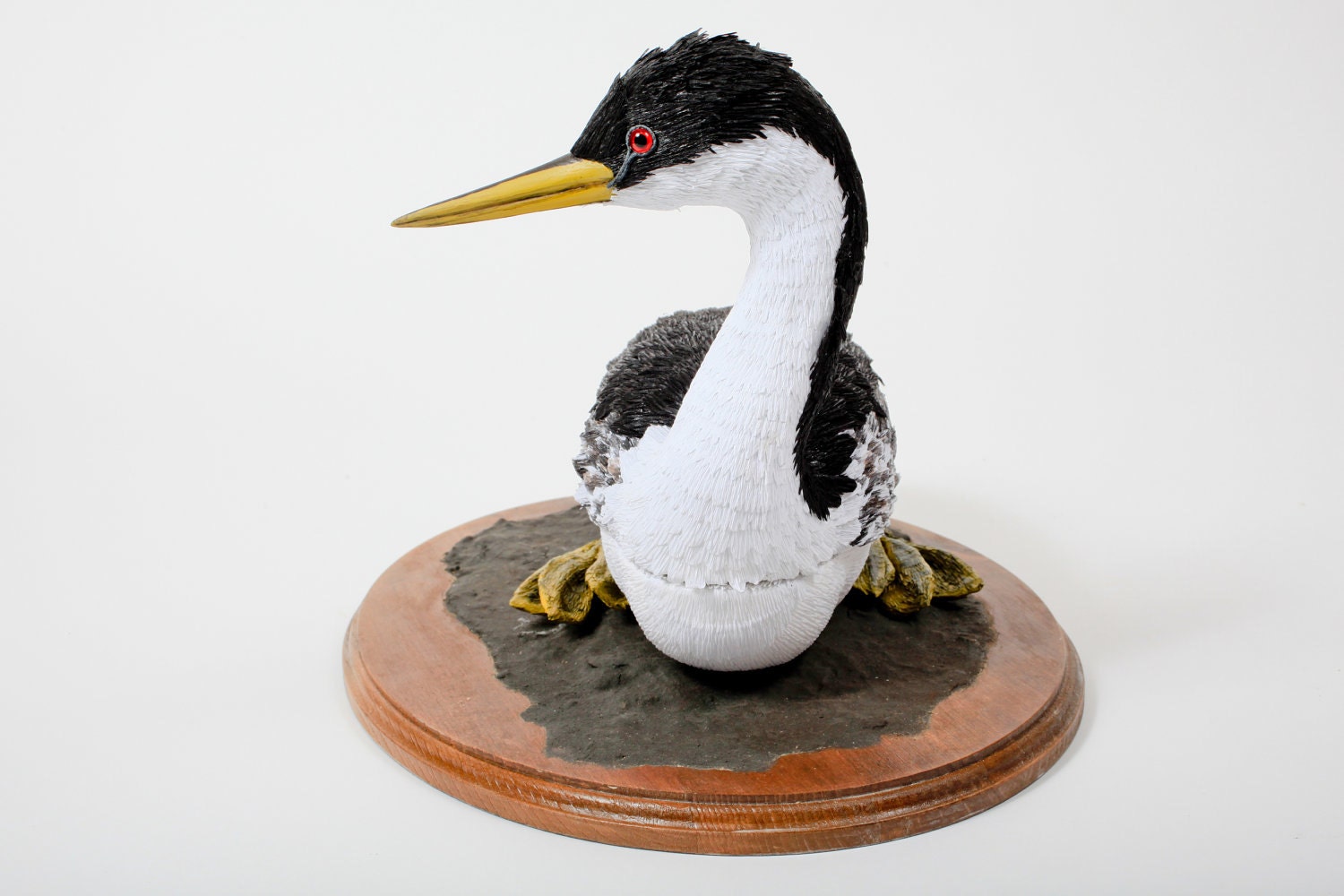 Western Grebe --Aechmophorus occidentalis 2010 (Bird contains hidden box)