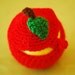 Apple Jacket Warmer Cozy Wool Crochet Autumn Fall Winter Cold Days Unisex Woman Man Teens Round Fruits Red Green Leaf