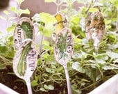 Set of 6 MODERN Herb / Vegetable Garden Markers