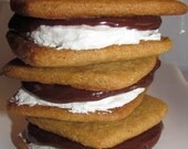 Ooey Gooey Smores Heaven