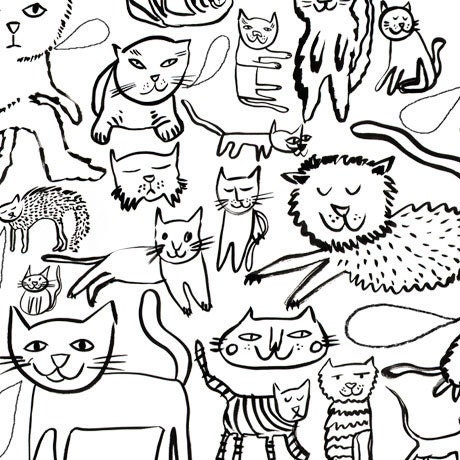 Cat Colouring Poster, Limited Edtion