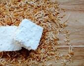 1 Dozen (12) Handmade Toasted Coconut Marshmallows