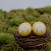 Yellow Elephant Stud Earrings