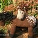 Snowflake: Appaloosa Pony Girl's Knitted Soft Horse Toy Stuffed Animal Natural Waldorf Play
