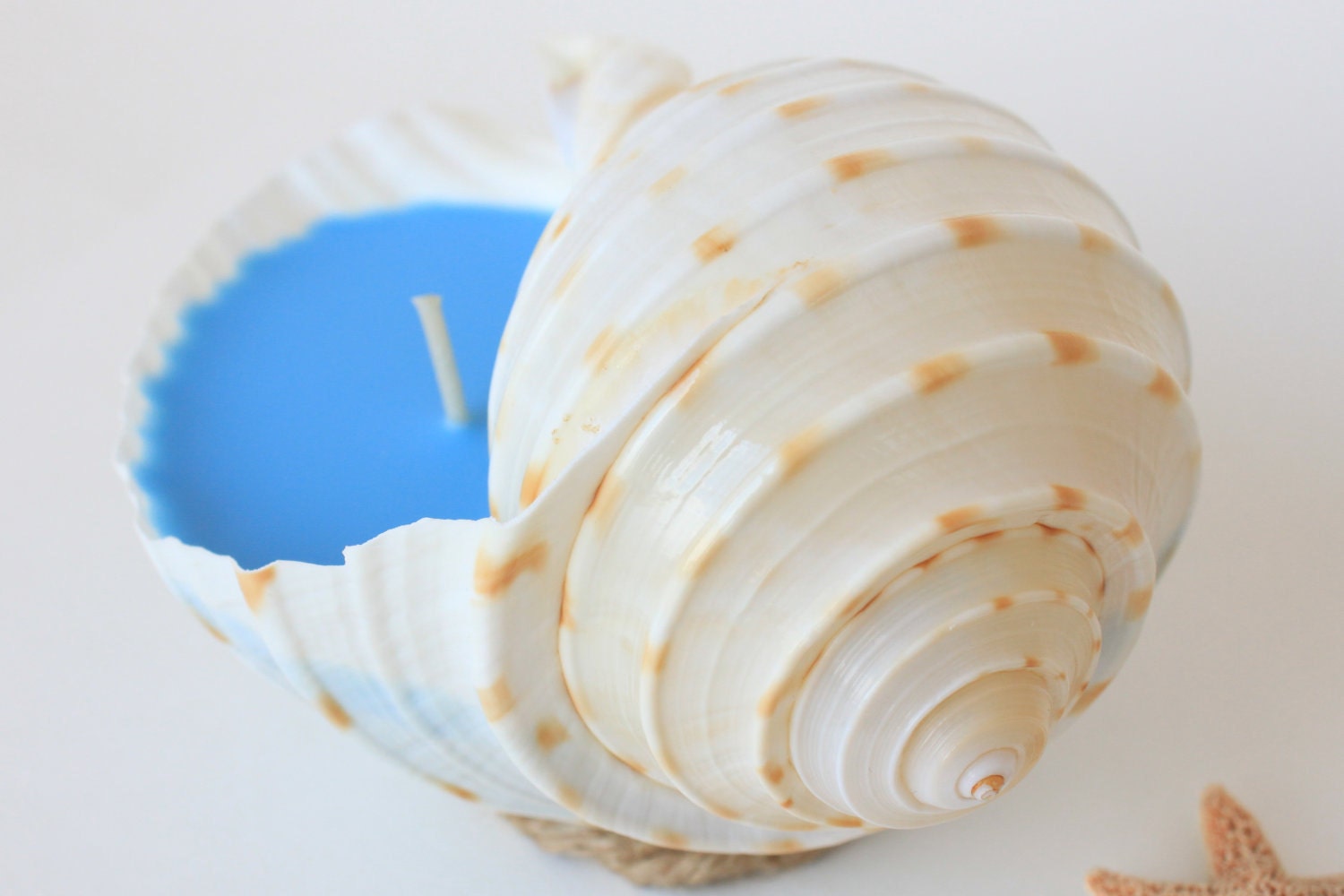 Ocean Blue Seashell Candle with scented soy wax