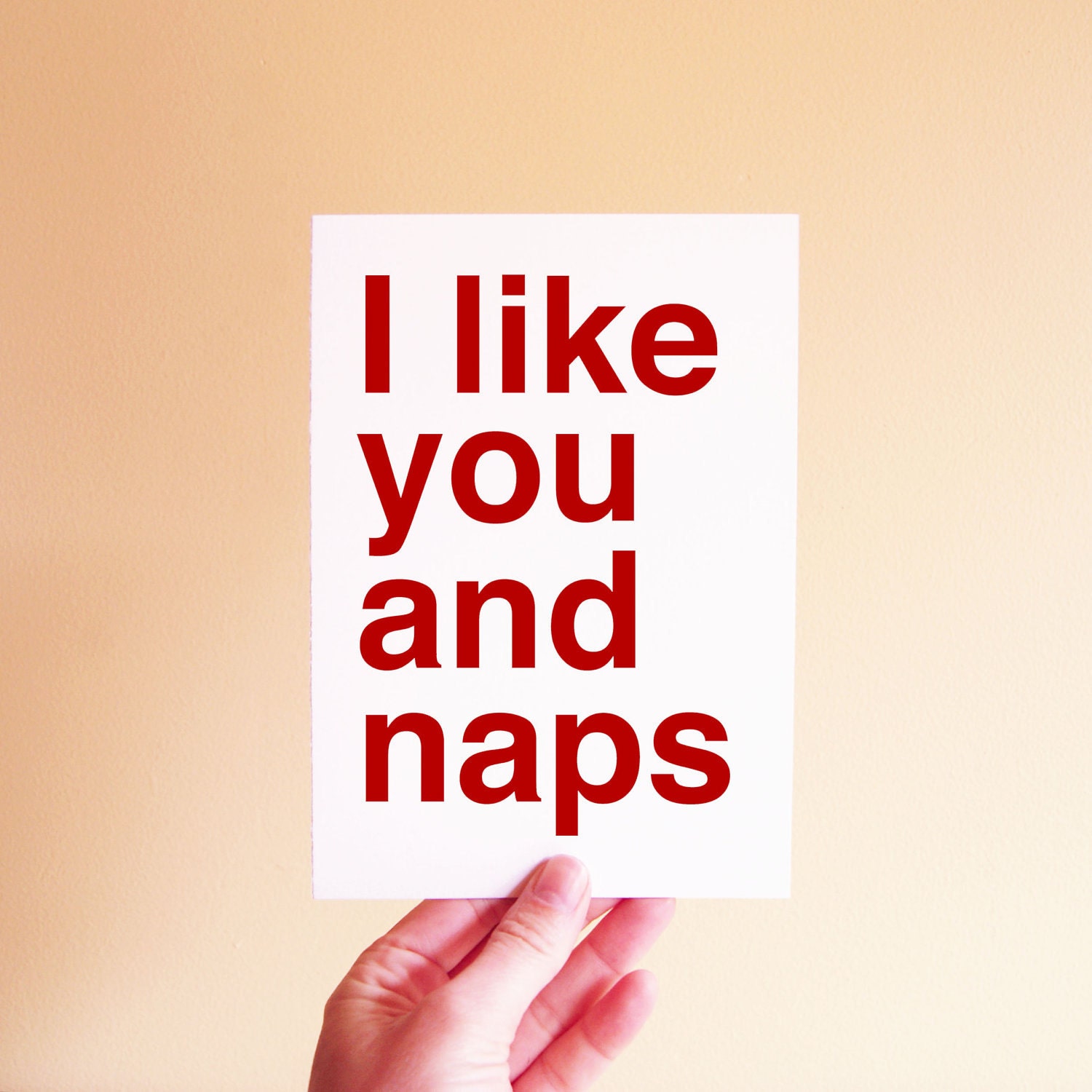 Birthday Card - Thank You Card - I like you and naps
