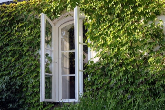 Window photograph, spring decor, nature photography, art print, Europe photography, wall decor, 5x7 (13x18) F R E E  SHIPPING