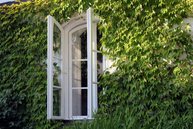 Window photograph, spring decor, nature photography, art print, Europe photography, wall decor, 5x7 (13x18) F R E E  SHIPPING