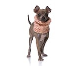 XS Springtime Dog Cowl / Neck Warmer / Scarf / Sweater