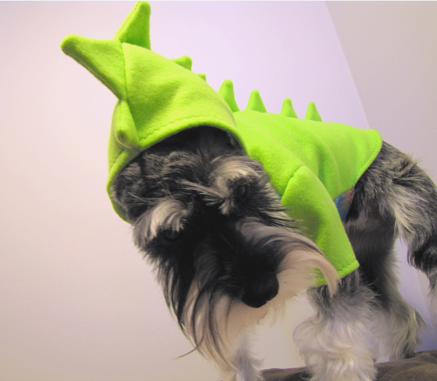 Halloween Dinosaur Fleece Dog Costume