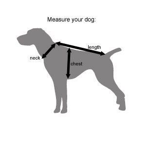 Halloween Dinosaur Fleece Dog Costume