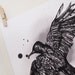 Blackbird Illustration Print - black and white bird drawing A3, 16.5" x 11.7" Art Print