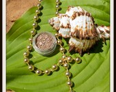 Vegan Eye Shadow, Rich Toffee Matte, 5 grams