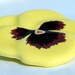 Vintage Brooch, Yellow Pansy Ceramic AVON Pin in Origninal Box, Womens Jewelry, Mothers Day Accessory