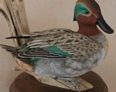 Duck Carving - Hand Carved Green Winged Teal