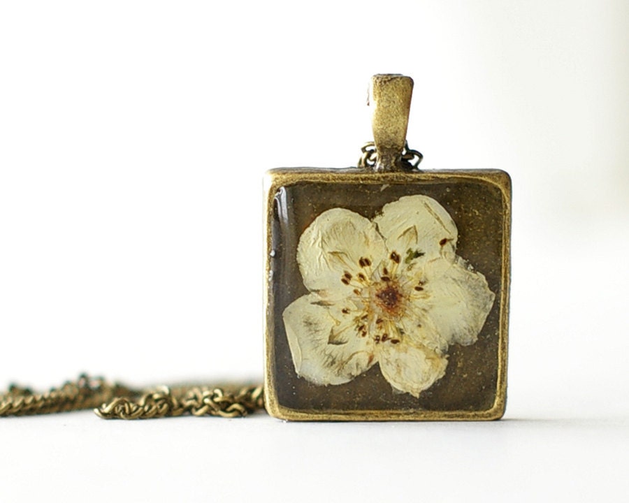 Real pressed flower Necklace - handmade resin jewelry - Potentilla fruticosa