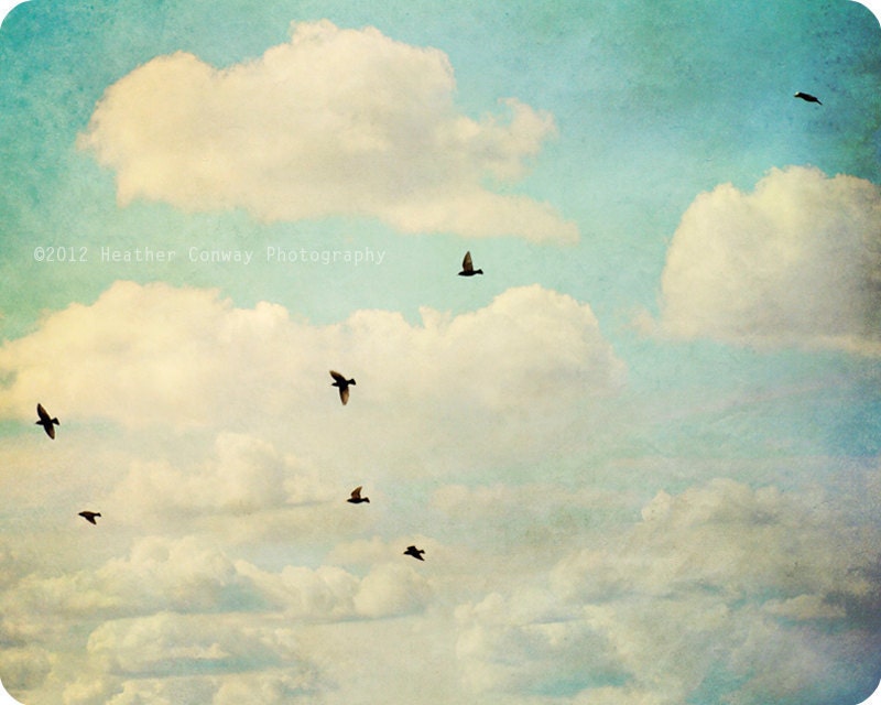 Birds flying Summer Sky, Vintage style, mint, 8x10 signed print - Fine Art Photography Wall Decor