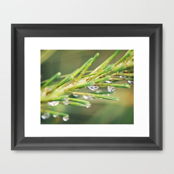 Nature Photograph Beautiful Green Spring Raindrops Bokeh 11x14 - Fine Art Photography - Home Decor Metallic print IN STOCK
