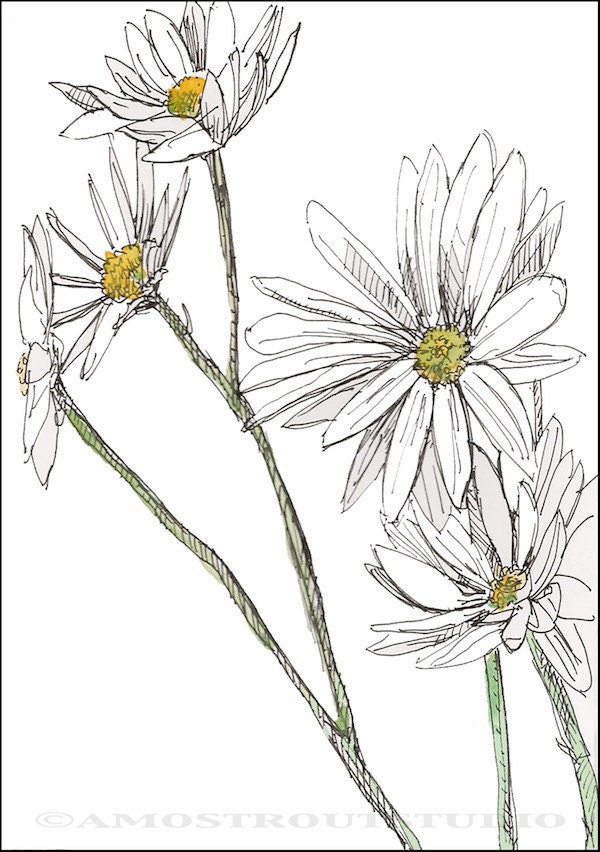 Flat art card. 5.5x4.25 inches