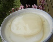 Kombucha Tea Mother Culture SCOBY