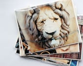 Tudor City Photography Greeting Cards - Lion Sculpture