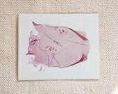 Pretty Pinks, Polaroid Emulsion Lift Print 7 x 5 inches