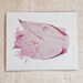Pretty Pinks, Polaroid Emulsion Lift Print 7 x 5 inches