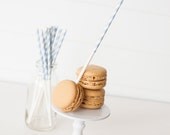 Light Blue Diagonal Stripe Treat Sticks