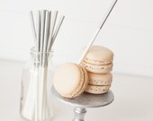 Silver Solid Treat Sticks