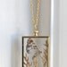 Vintage Pressed Butterfly Necklace