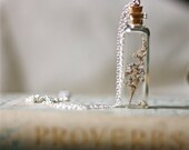 botanical vial necklace specimen corked top wildflower on an extra long 35 inch silver chain.spring summer garden real pressed flower