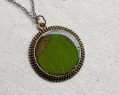 pressed leaf necklace sage green leaf section in resin jewelry circle filigree edge in bronze real natural nature botanical