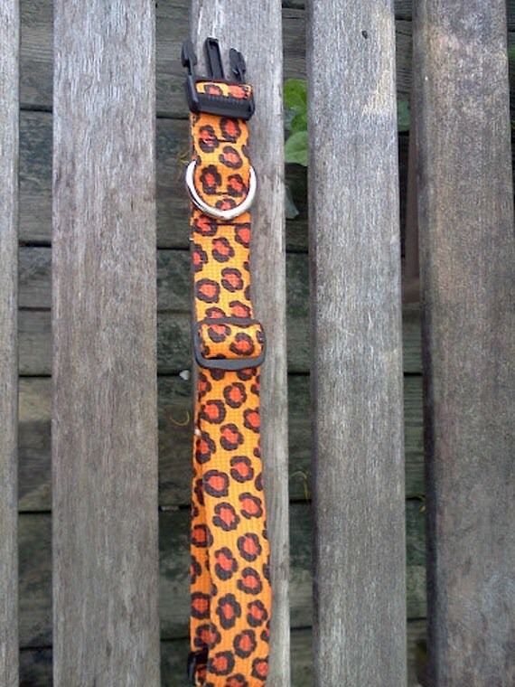 Dog Collar: Adjustable 1 inch wide, Jaguar