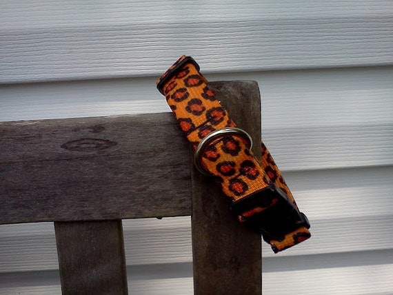 Dog Collar: Adjustable 1 inch wide, Jaguar