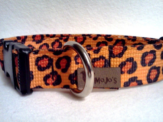 Dog Collar: Adjustable 1 inch wide, Jaguar