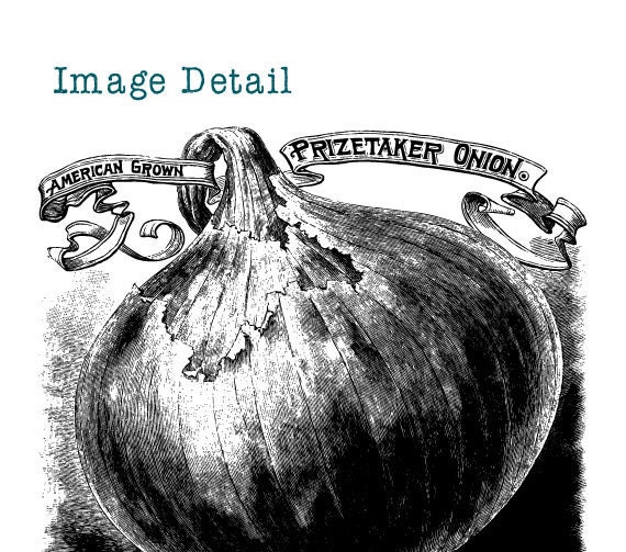 NEW Vintage Garden Seed Catalog Clip Art Collection - 100% Scalable Vector Art