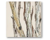 White tree art 24x24 giclee trunks bark fine art painting print stretched canvas office art gift wall decor