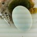 Lagoon Scented Shea Butter Bar Soap - sea, earth, and sun